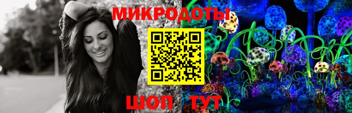 Кировск  Псилоцибиновые грибы прущие грибы  где найти   Вход с VPN 
