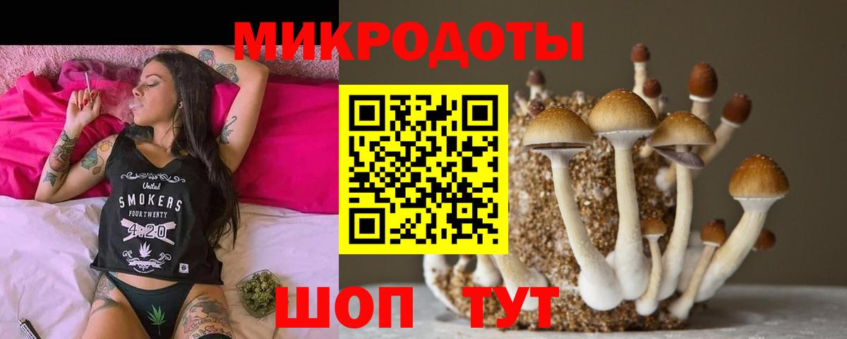 Галлюциногенные грибы мухоморы Кировск